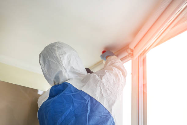 Best Asbestos and Lead Testing During Mold Inspection  in Cloverdale, CA